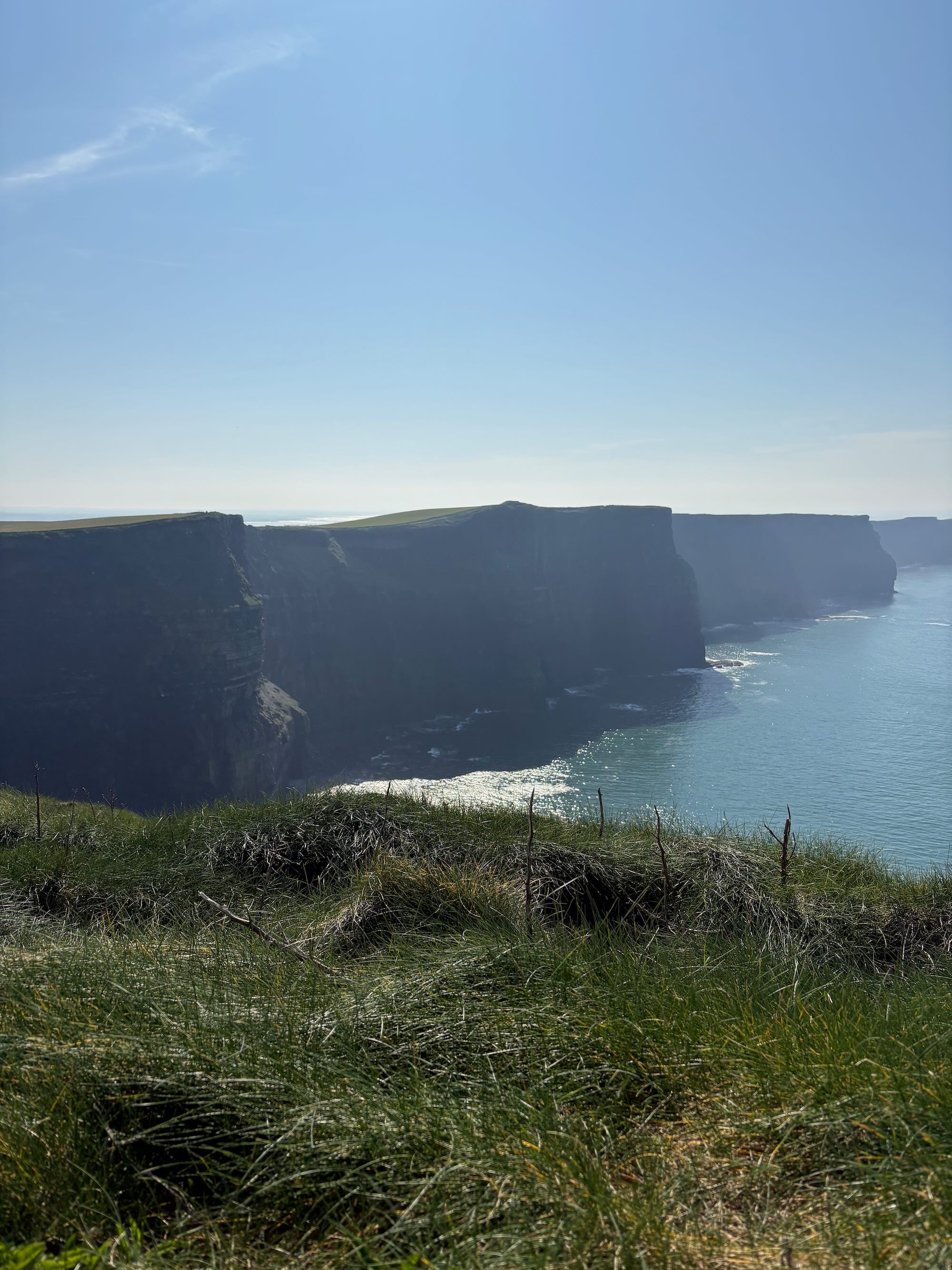 Tall sea cliffs along a sunlit coastline with grassy foreground and calm blue ocean under a clear sky.