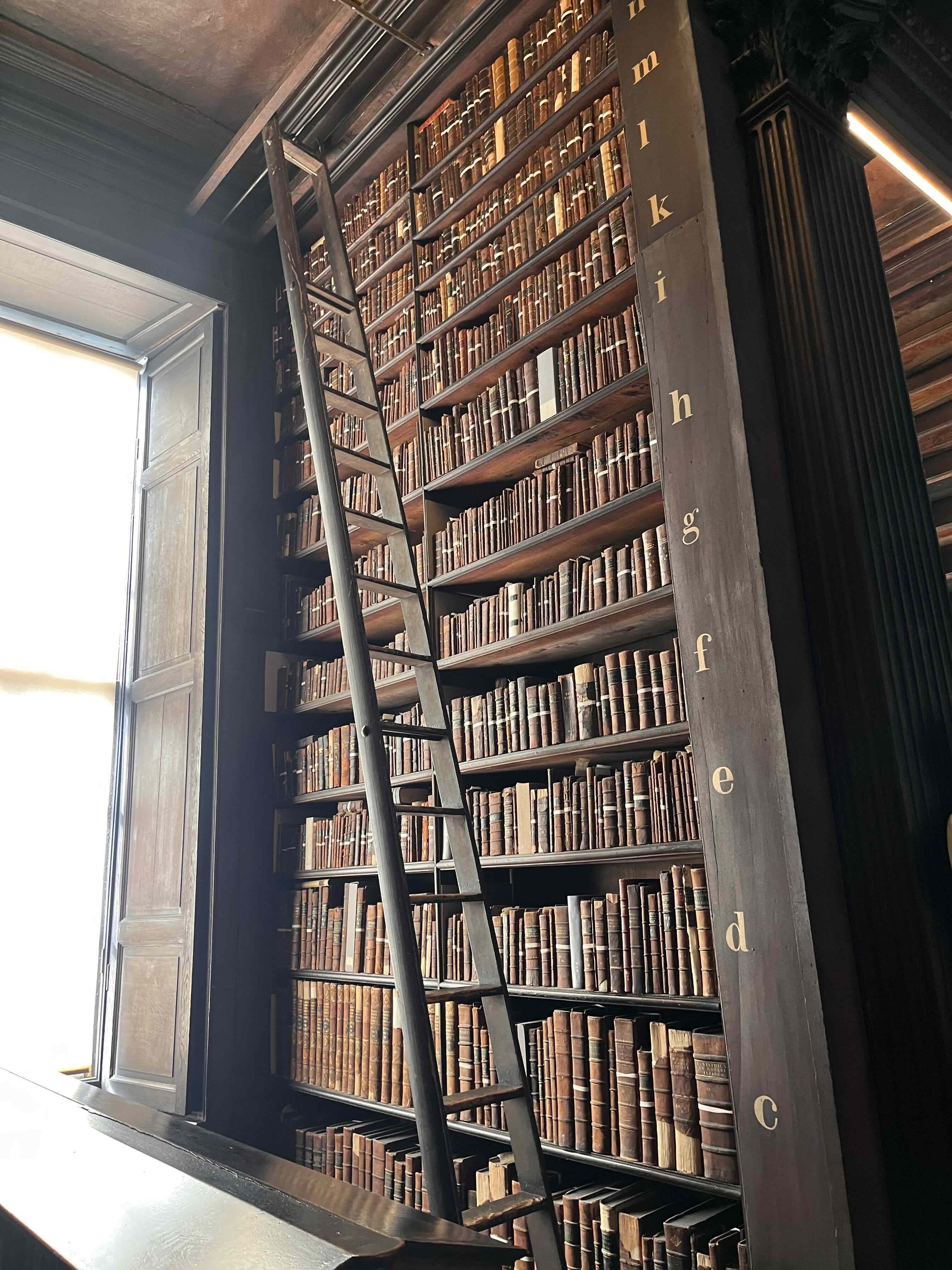 Tall wooden library shelves filled with old leather-bound books and a sliding ladder beside a sunlit window.