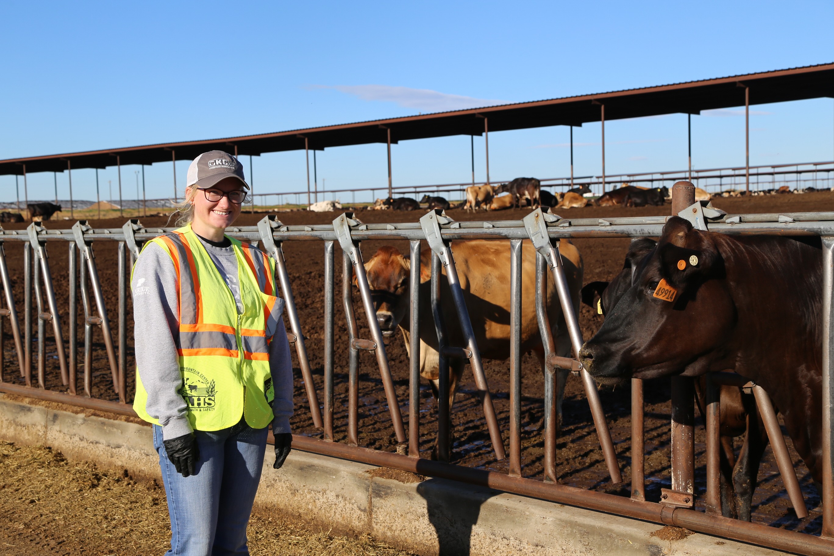 Alaina visiting a dairy farm