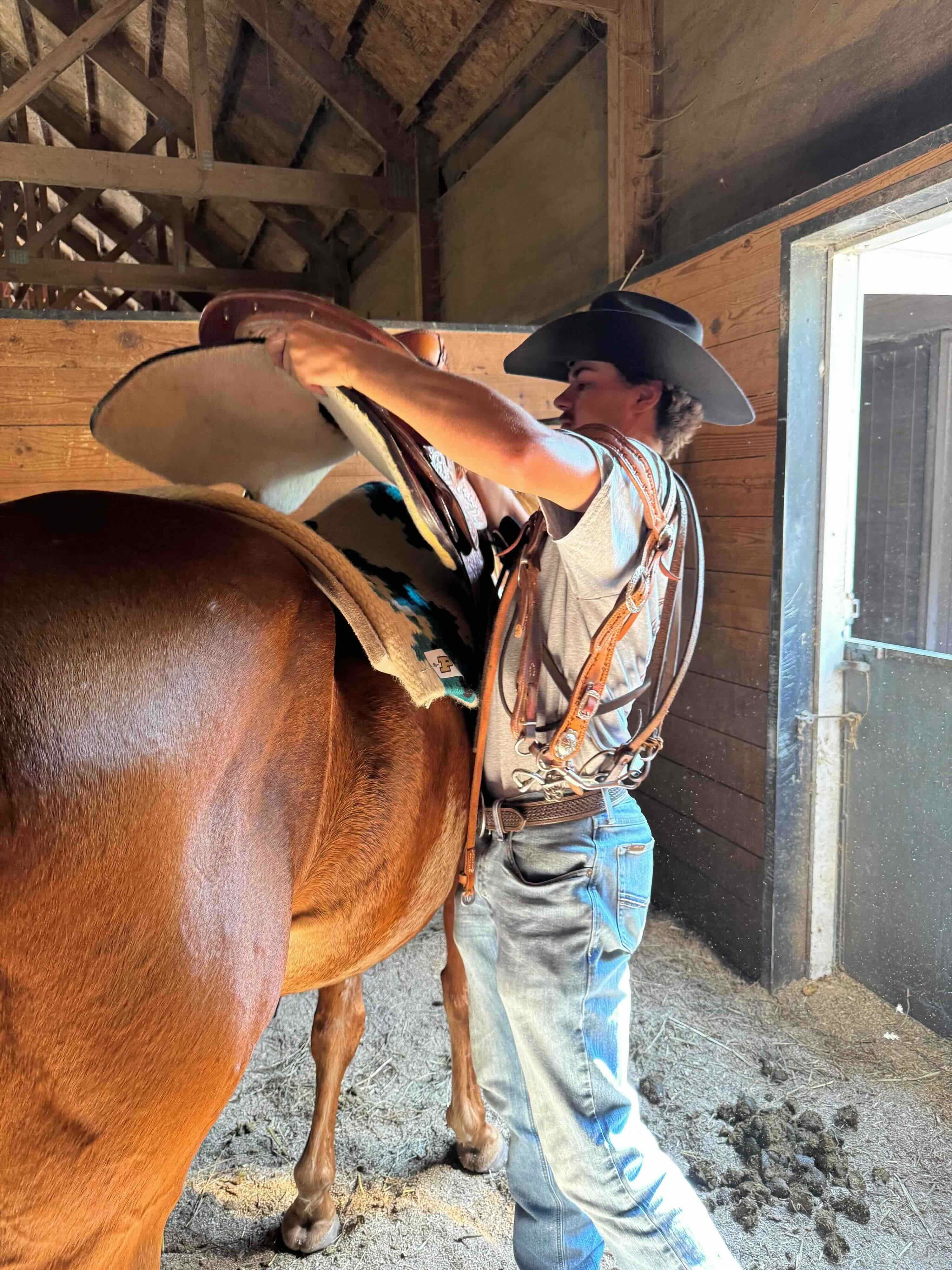 Braden saddling a horse