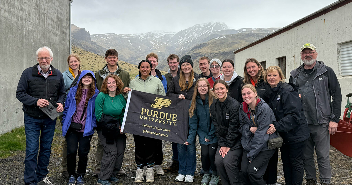 Iceland study abroad group holding a Purdue flag and standing between buildings with mountains in the background