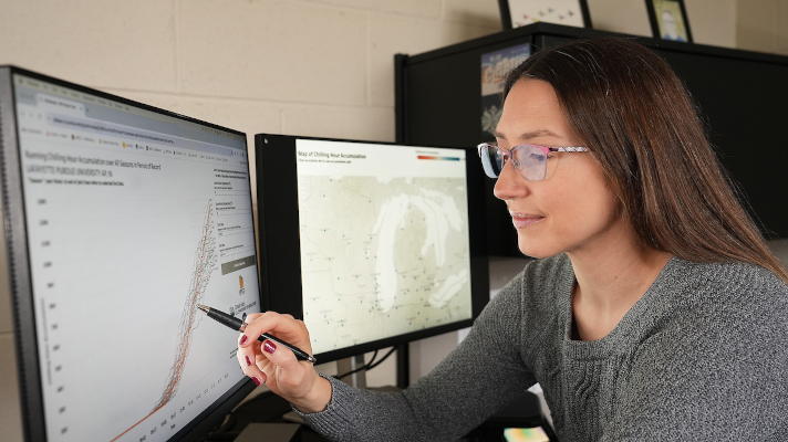 climatology staff member working with weather data