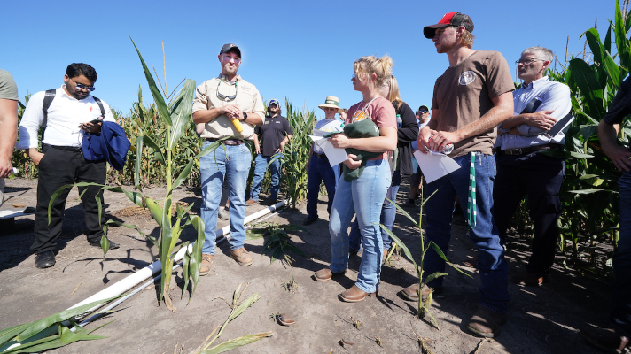 professor and students in a cornfield