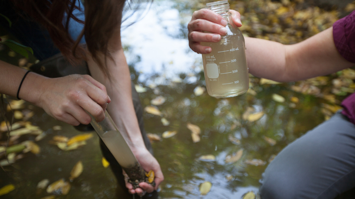 students taking water samples from a stream