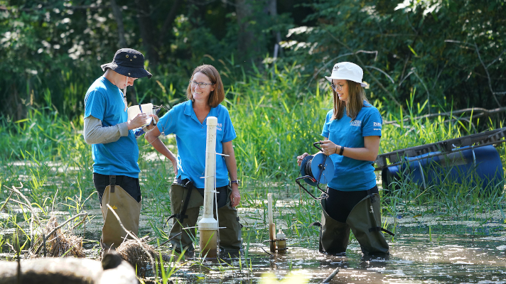 professor and students working on a wetlands research project