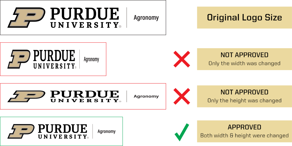 image with 3 examples of the Purdue logo being resized - 2 incorrectly, and 1 correctly by maintaining aspect ratio