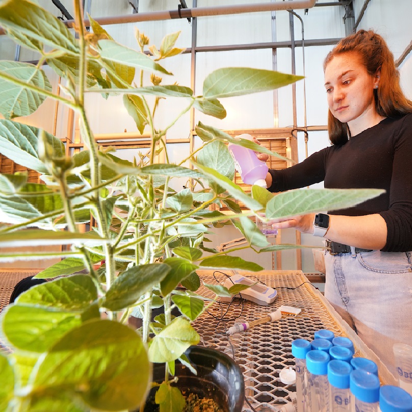 Image of a woman working with plans in a greenhouse