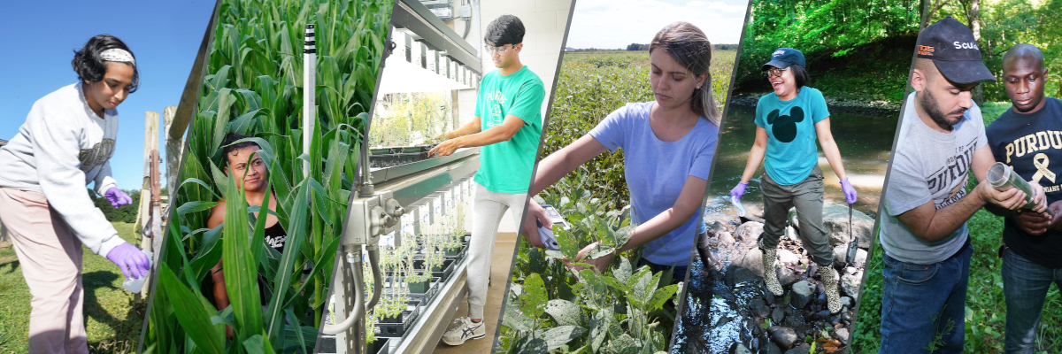 banner for student job board displaying students working in the field or in a lab