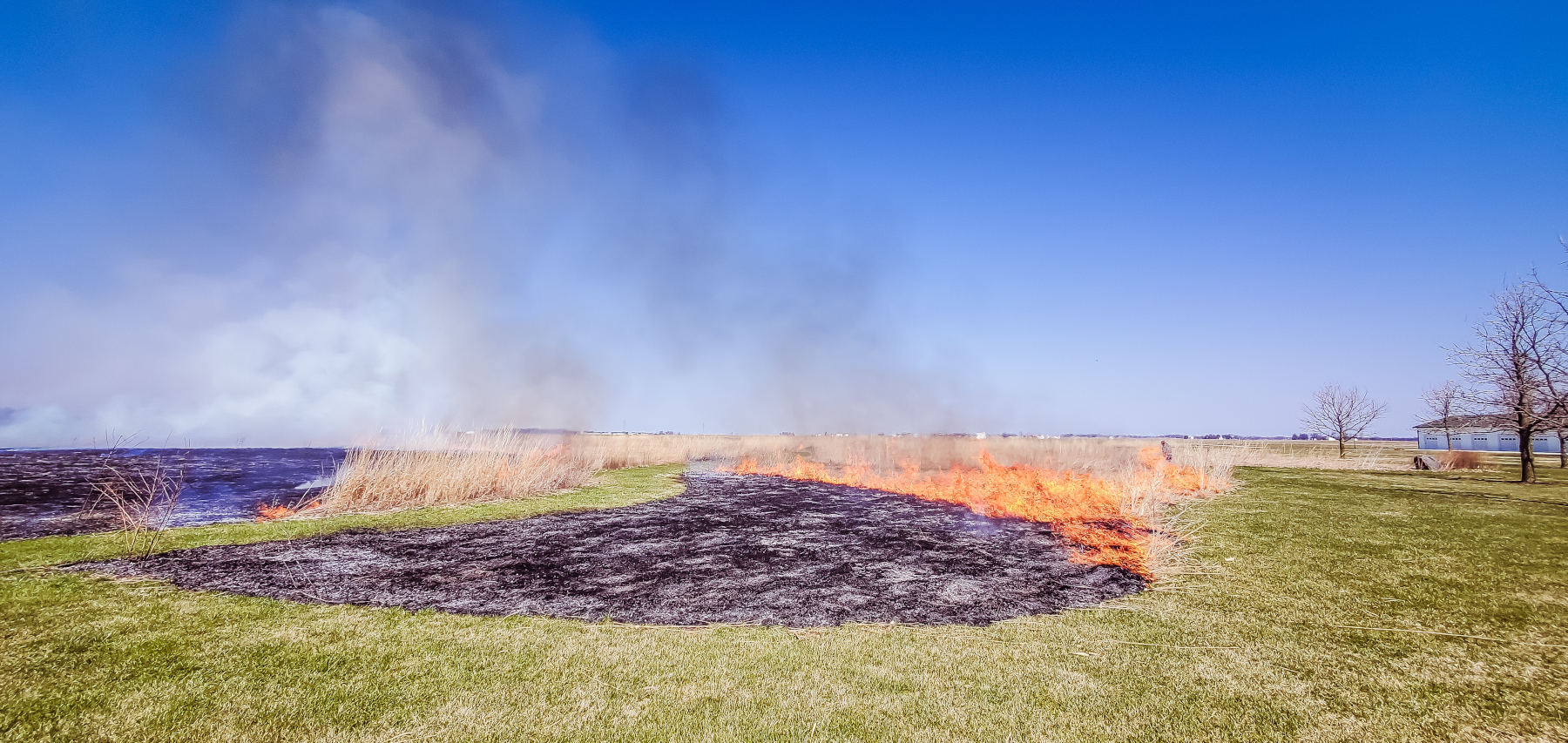 peterson-prairie-burn-1800x.jpg