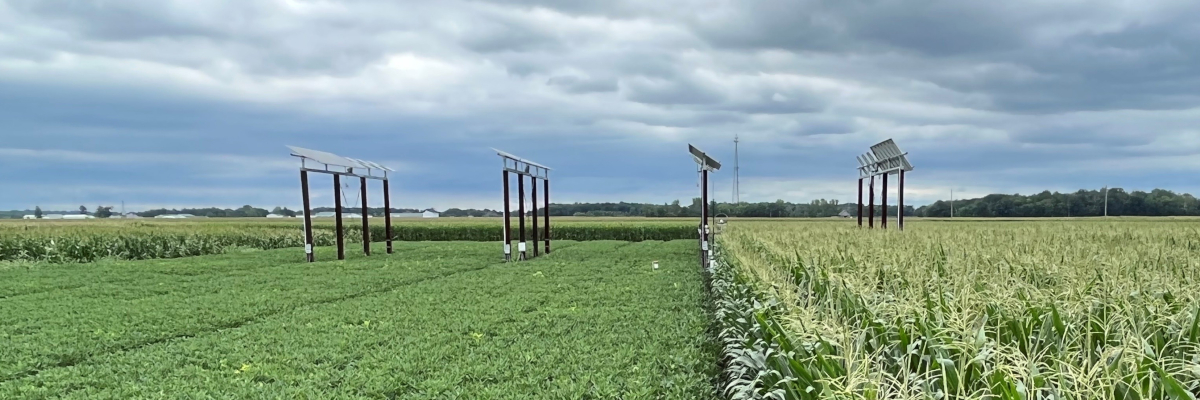 agrivoltaics installation side-on view