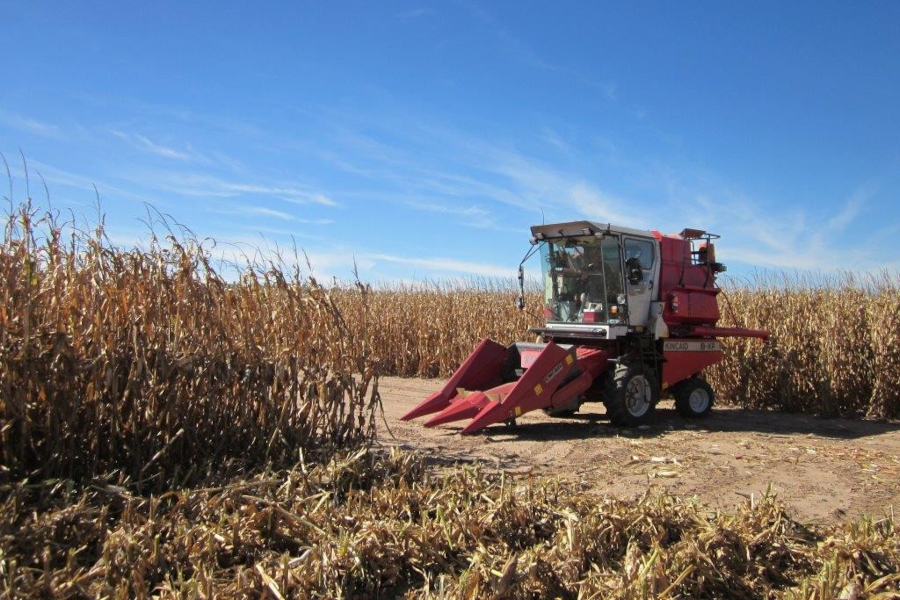 two row combine harvester