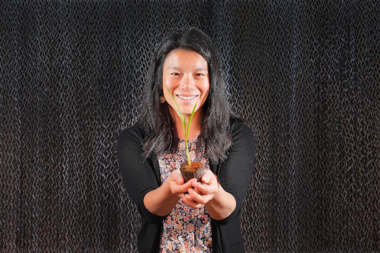 Diane Wang