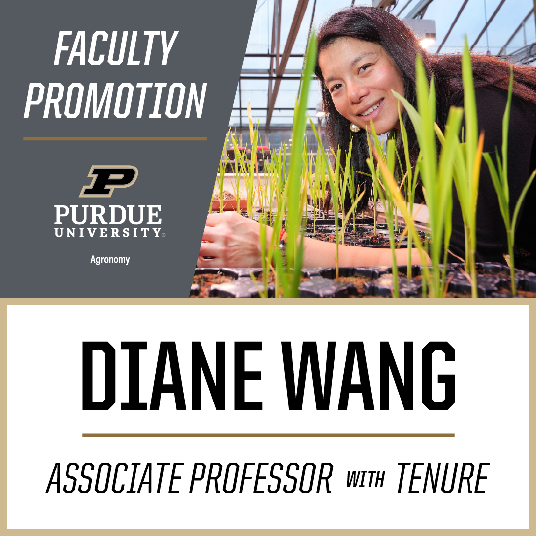 Diane Wang promoted to Associate Professor with Tenure