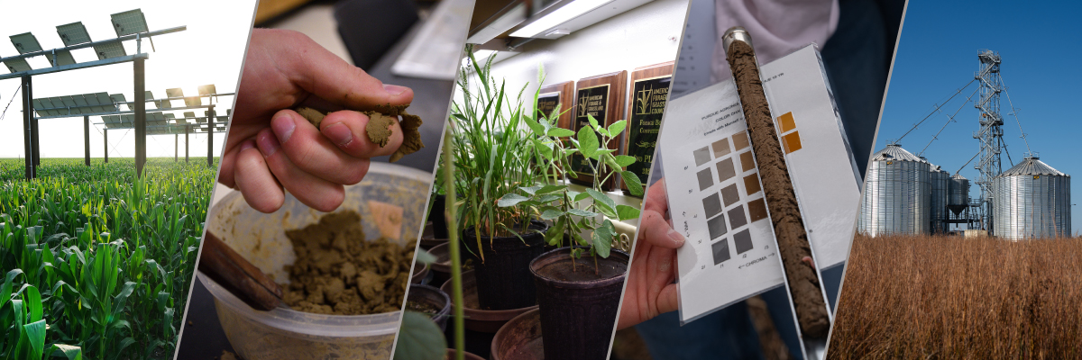 SASES banner image featuring solar panels, soil, plants, and grain bins