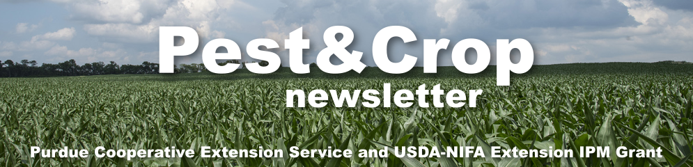 pest and crop Newsletter header. Purdue Cooperative Extension Service and USDA-NIFA Extension IPM Grant