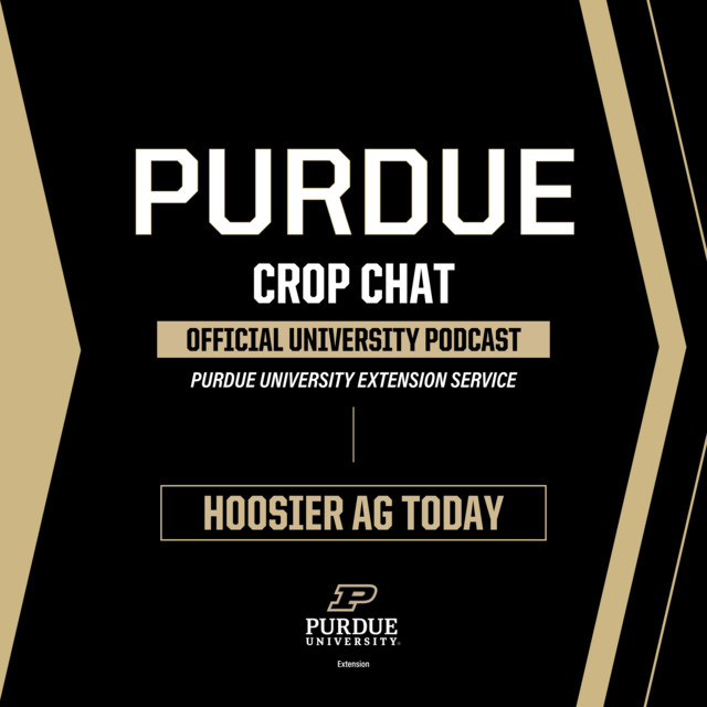 crop chat podcast logo