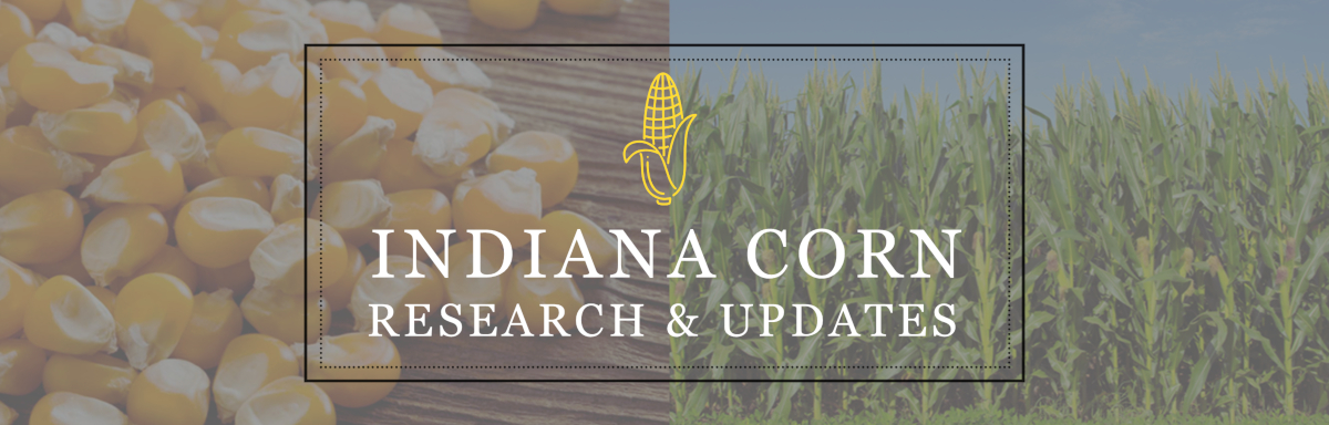 Indiana Corn Research & Updates logo