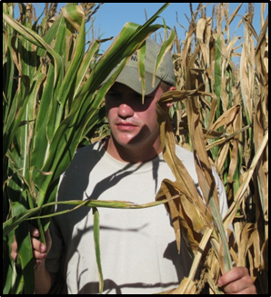 man in sorghum field