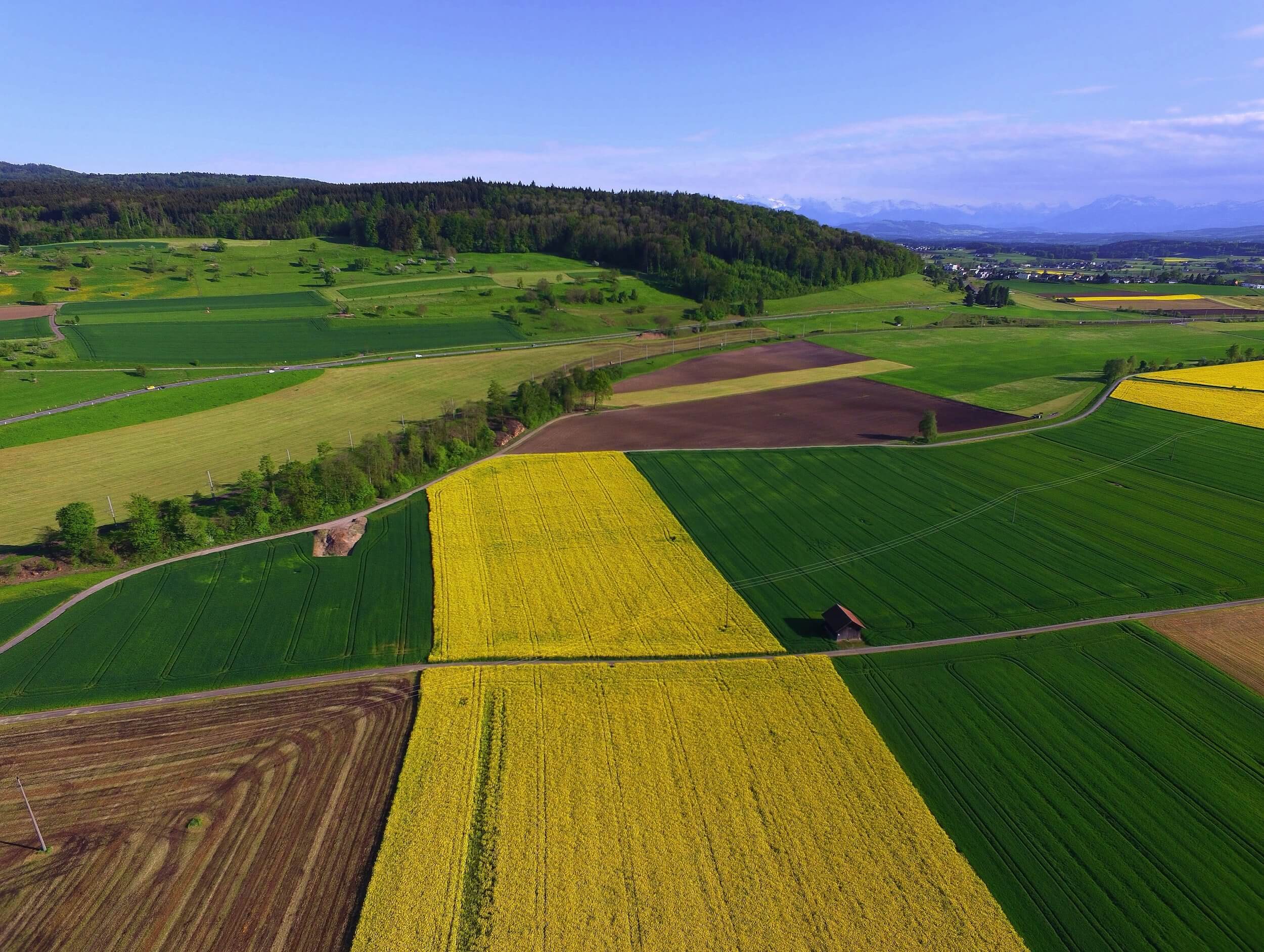 Aerial crops field view