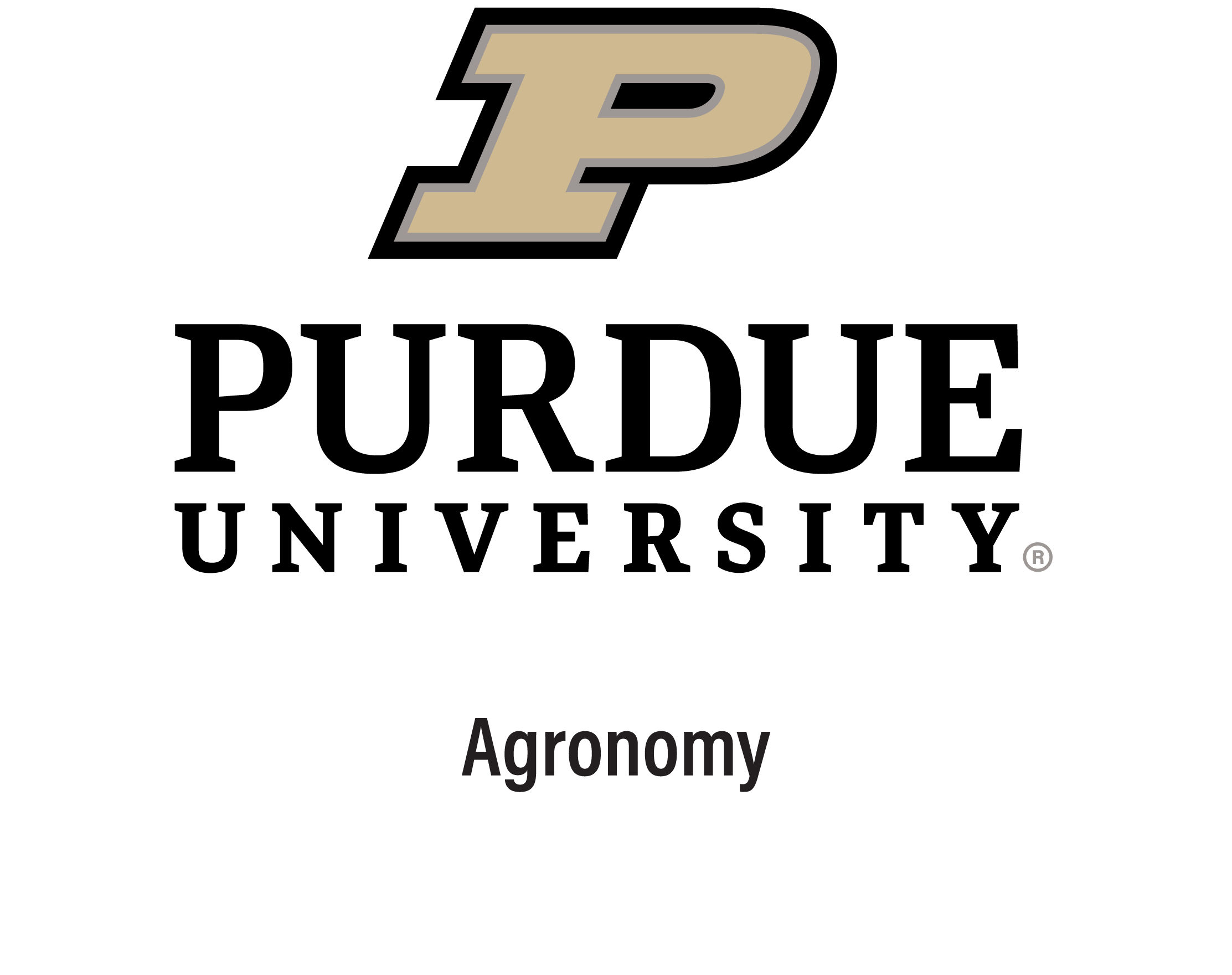  Postdoc Position