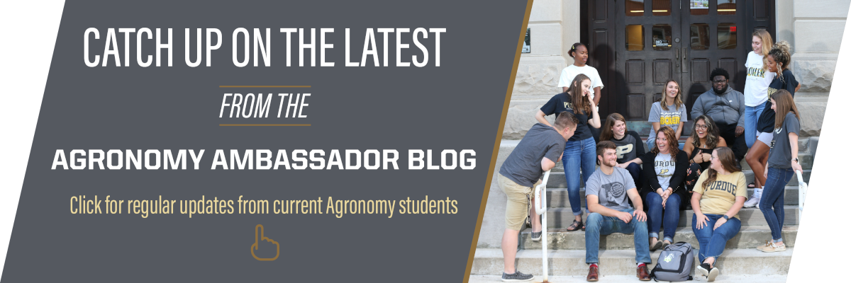 agry-ambassador-blog-banner.png