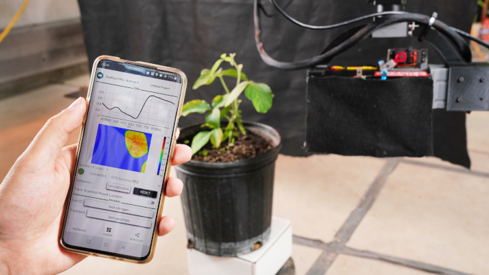 phenotyping a plant in a pot