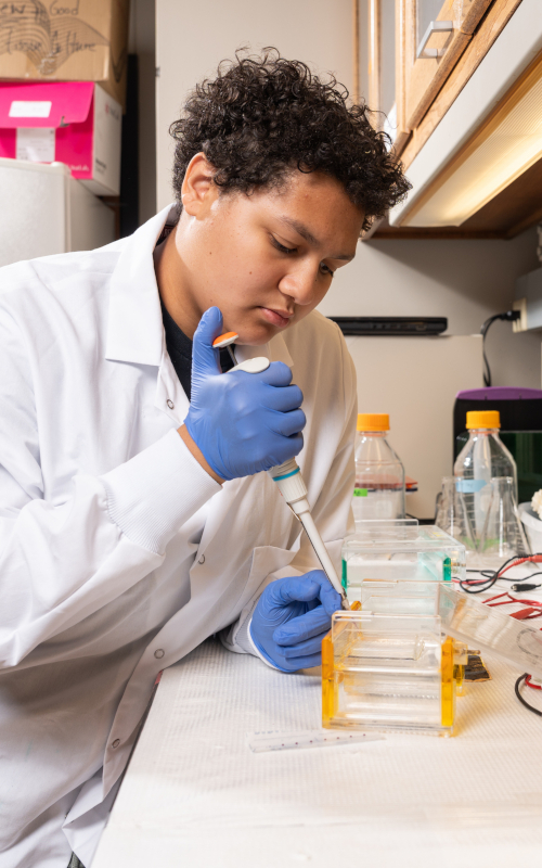 Student testing a sample in a lab