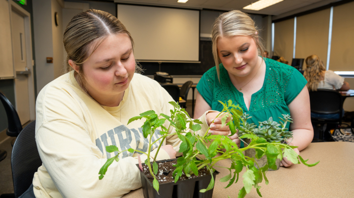 AgEd students examining plants