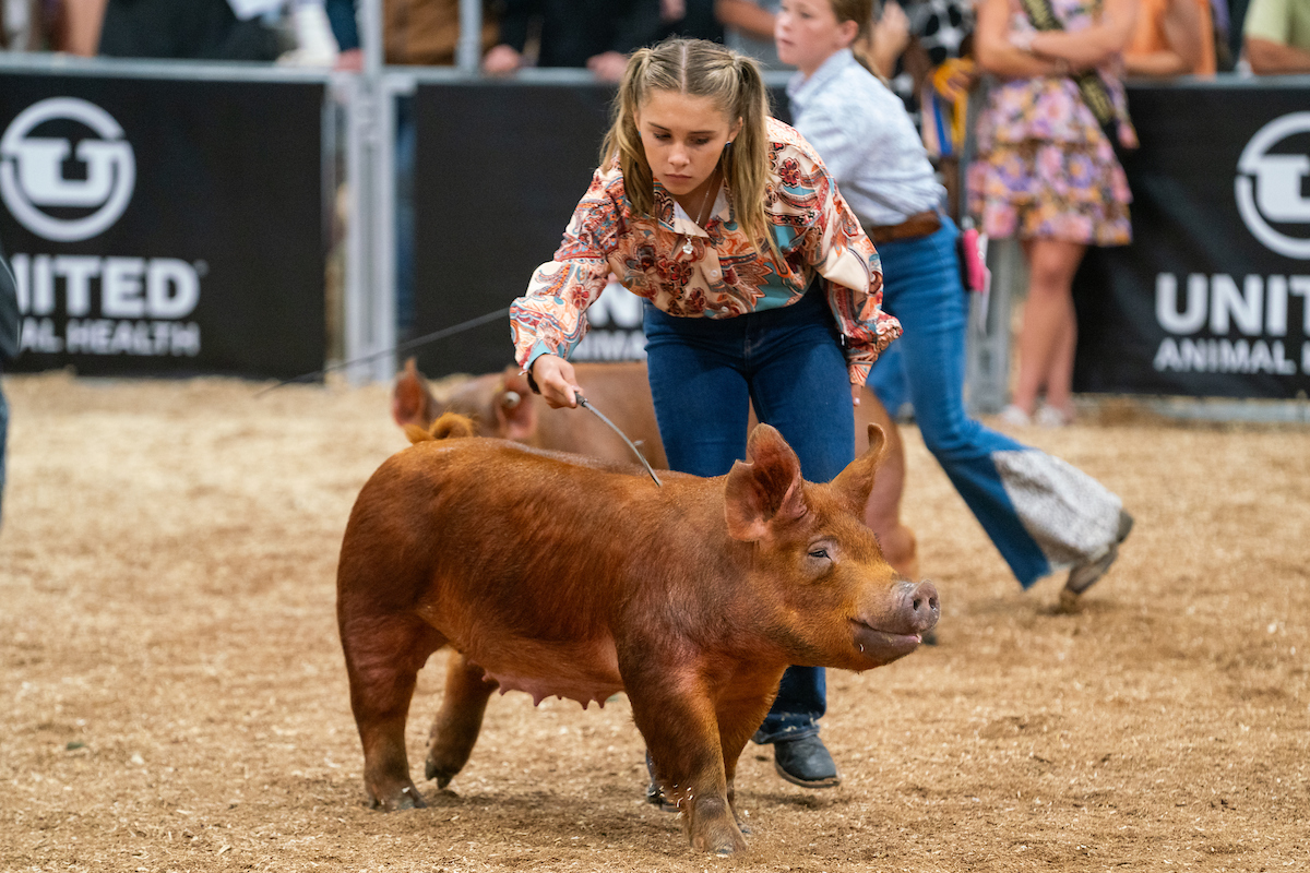 a girl showing a pig