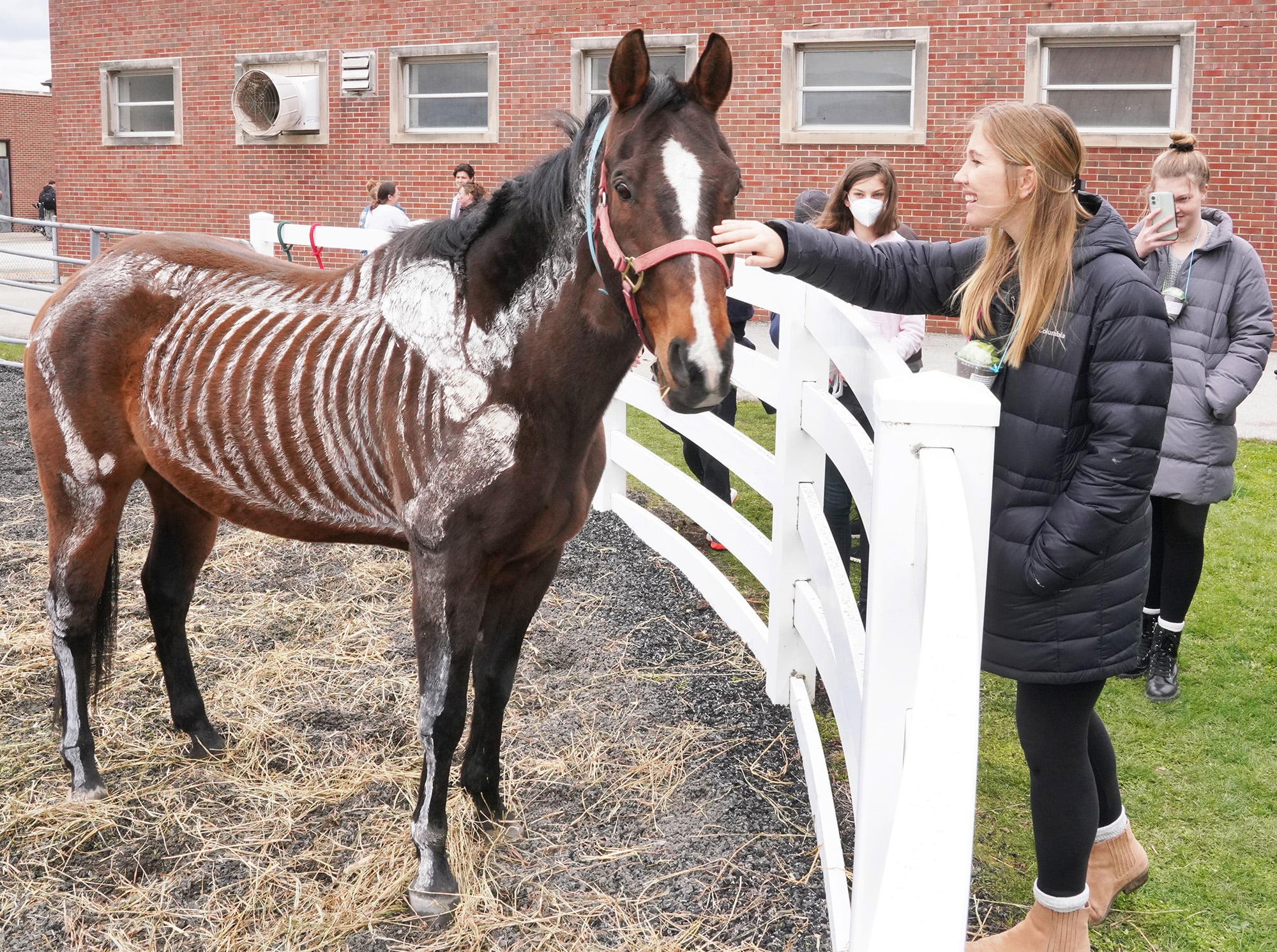 A group of students gather around a horse. The horse has a skeleton painted on it, and one student is petting it.