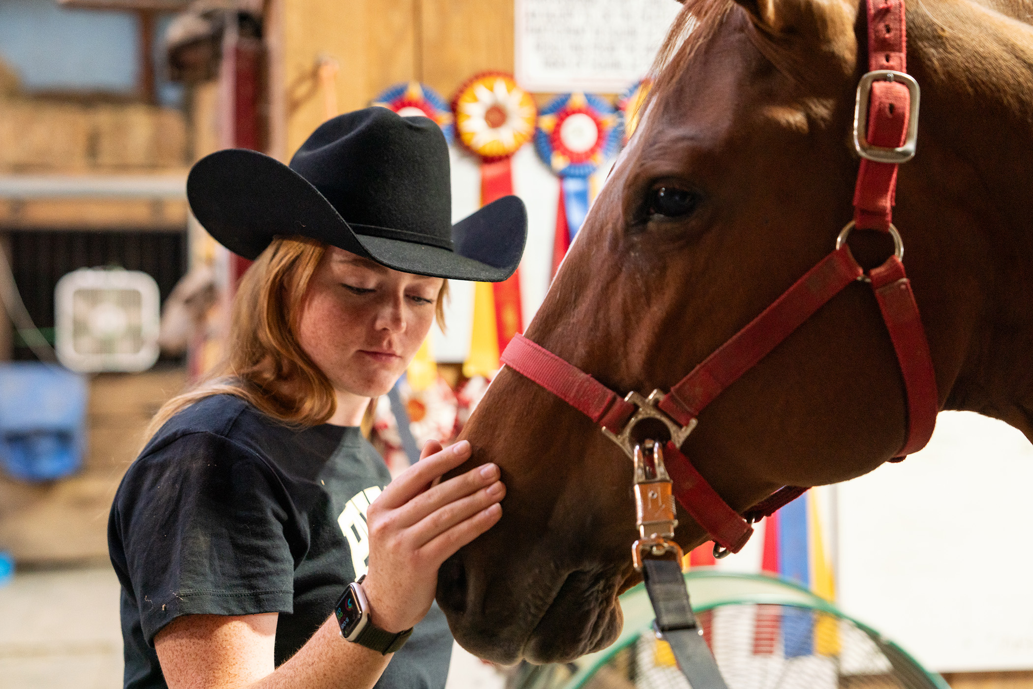 A female pets a horse on the head.