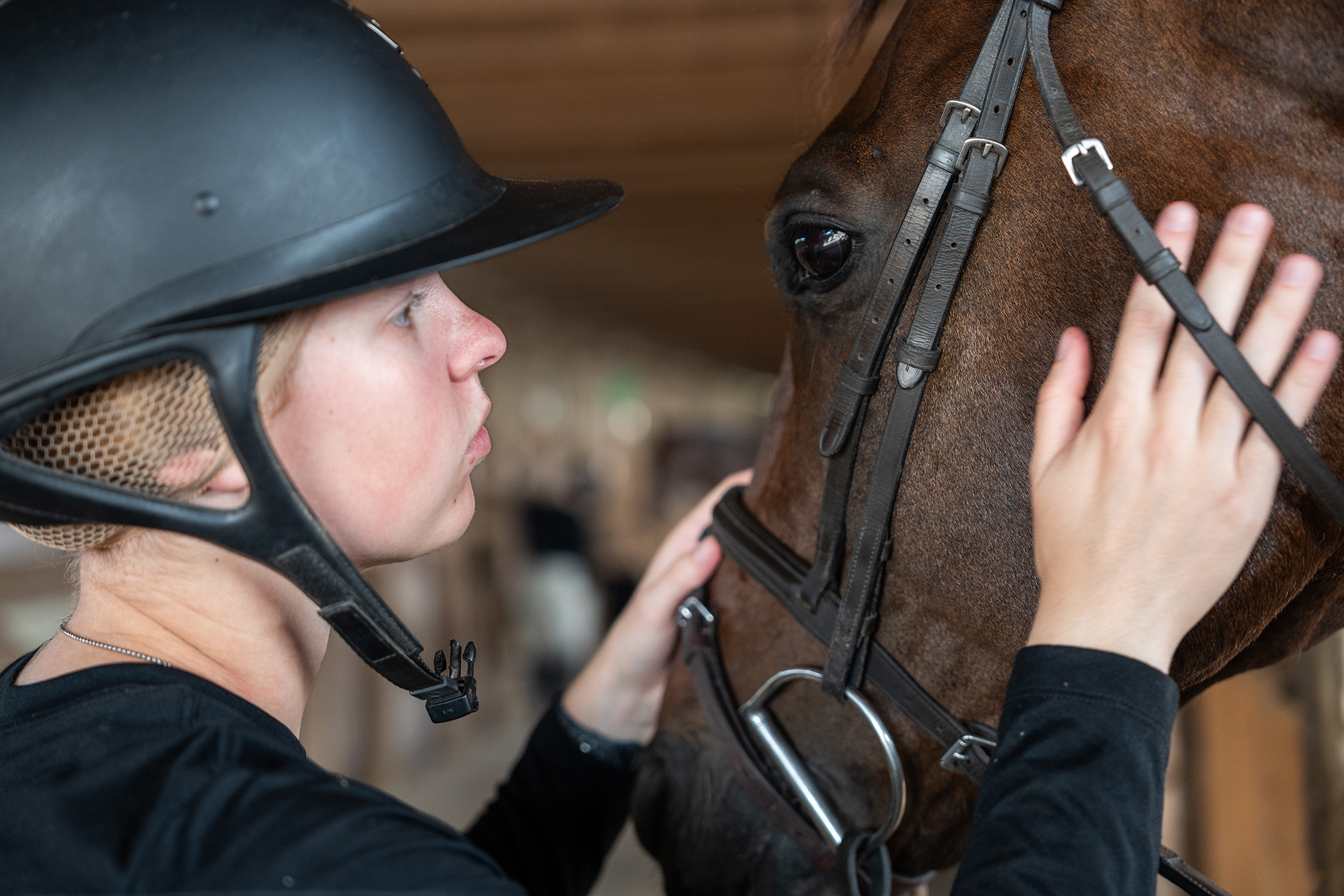 A female prepares to ride a horse, tightening the straps on its face.