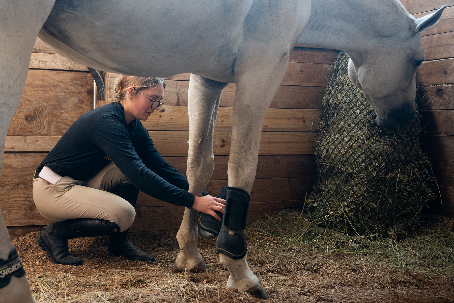 A female places a wrap on a horse's leg.