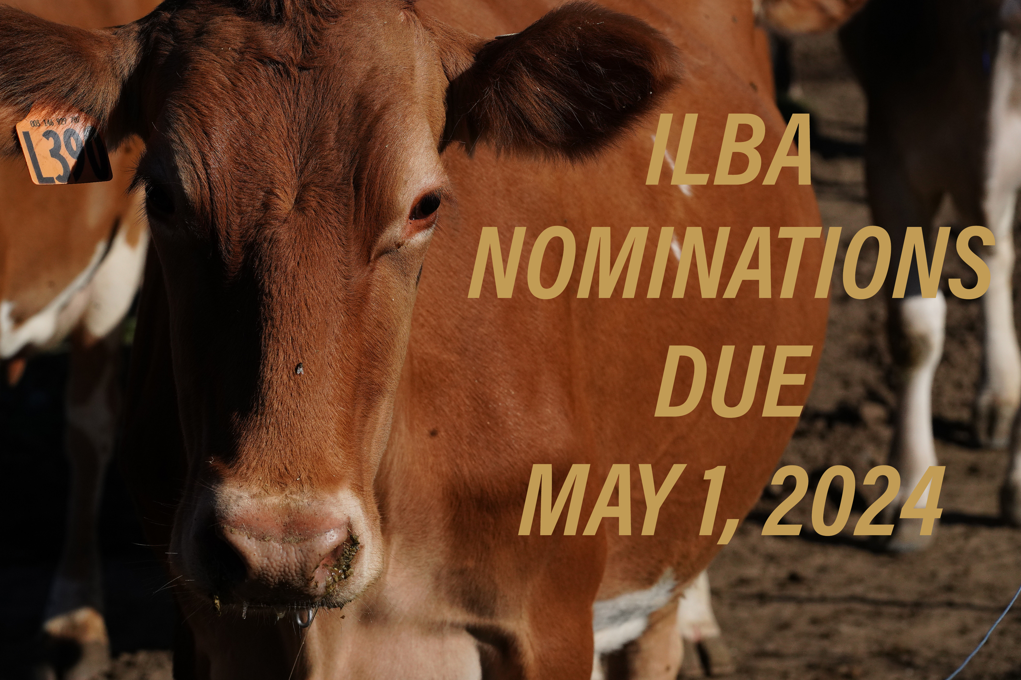 ILBA nomination application now open slide