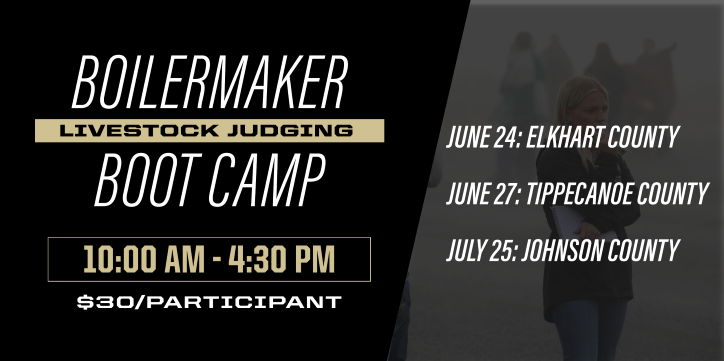 Graphic promoting the Boilermaker Livestock Judging Boot Camp. Text reads: "Boilermaker Livestock Judging Boot Camp, 10:00 AM – 4:30 PM, $30/Participant." Dates and locations listed on the right: June 24 – Elkhart County, June 27 – Tippecanoe County, July 25 – Johnson County. Background includes a faded photo of a person in a judging ring.