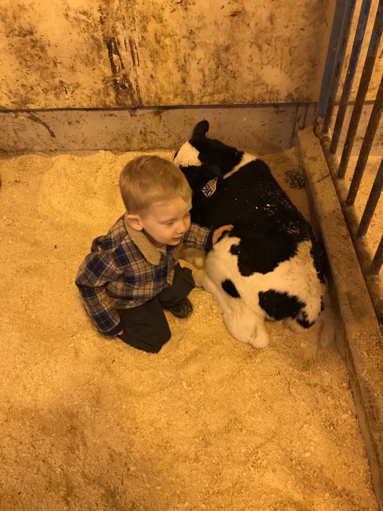 child and dairy