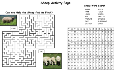 Sheep activity page