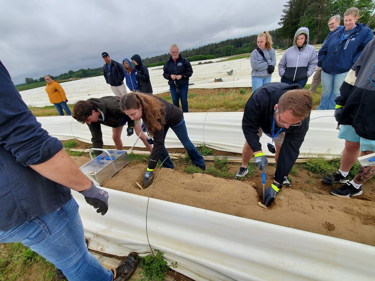 a group of students digging