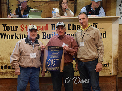 Award presented to Kevin Beckington, KB Angus, by Steve Ritter and Andrew Stewart