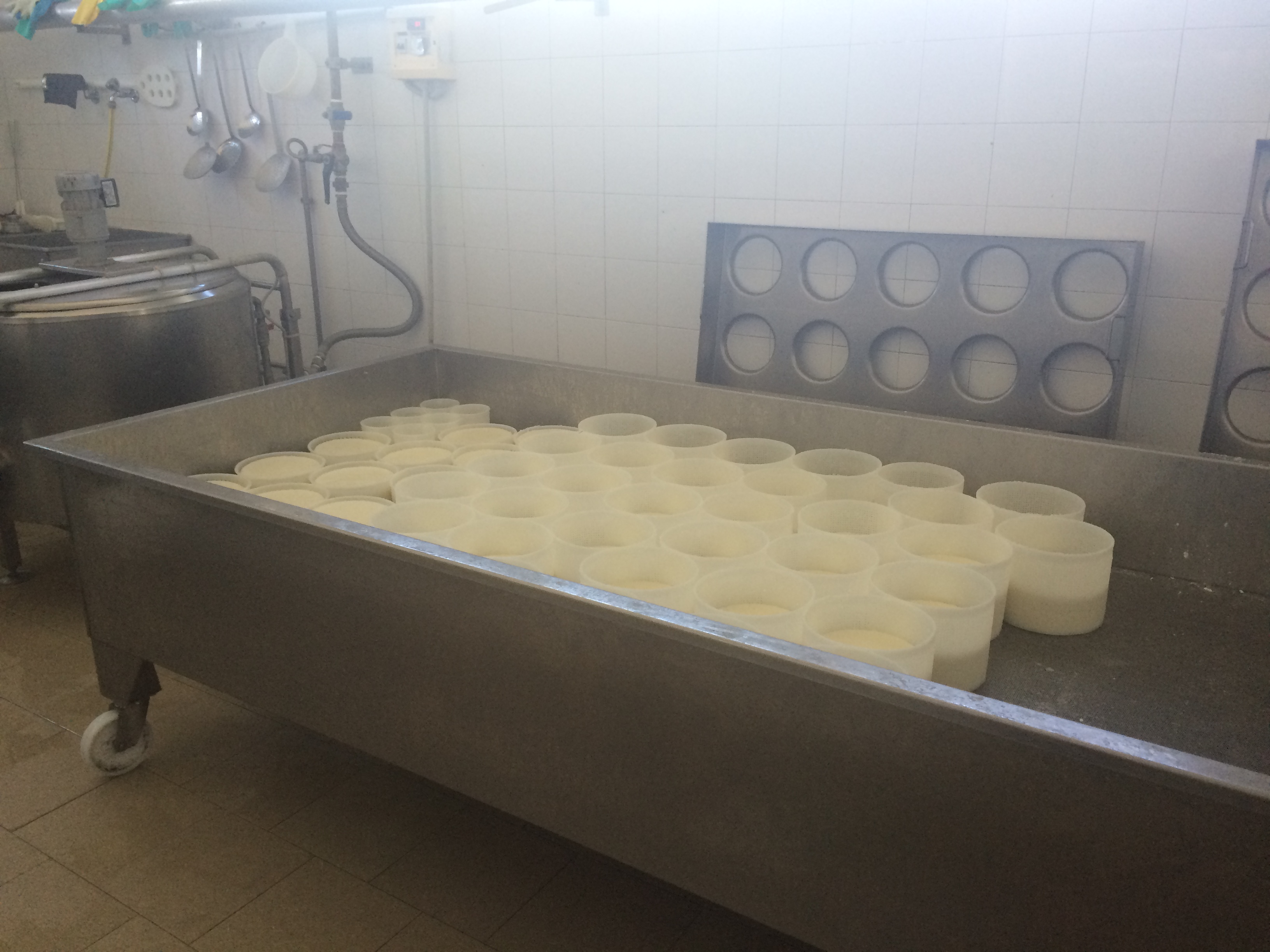 Picture cheese making