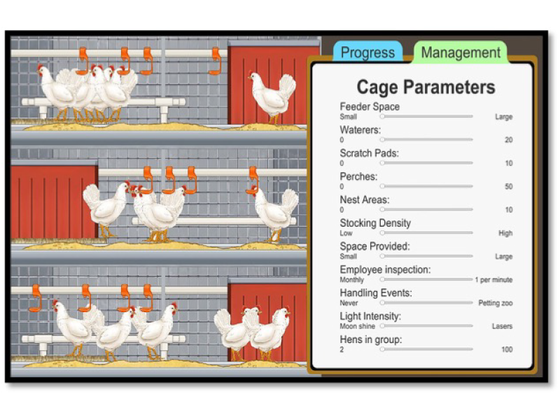 Specs on cage parameters as seen in Purdue Agriculture’s Educate, Grow, Gain Poultry Program for high school students