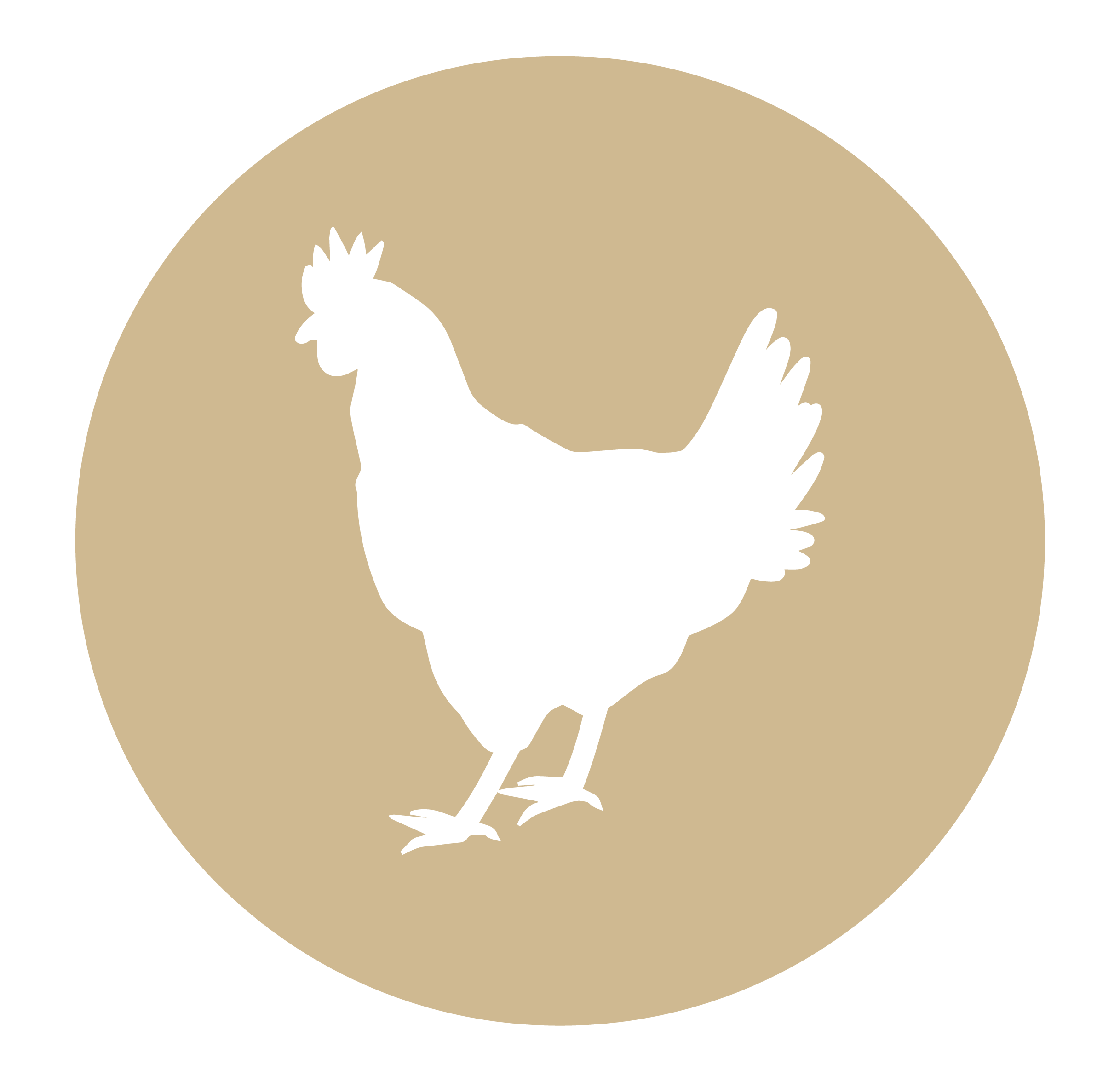Poultry Button