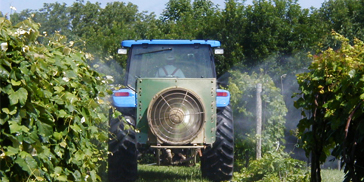 Tractor on a field spraing crops