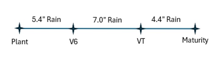 rain comparison