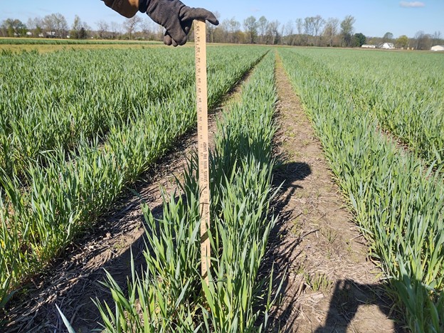 Precision seeding