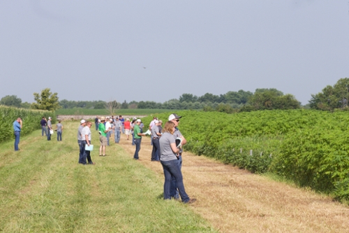 farmers on edge of field during training day
