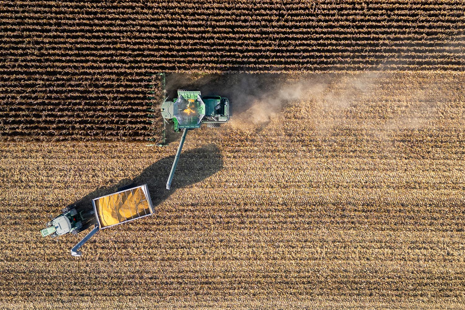 aerial shot of harvest at ACRE