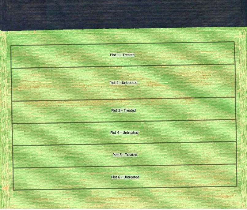 Field NDVI Image July 17