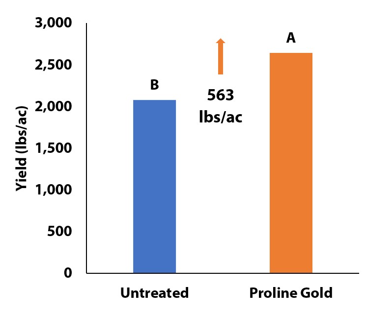 Yield by Treatment