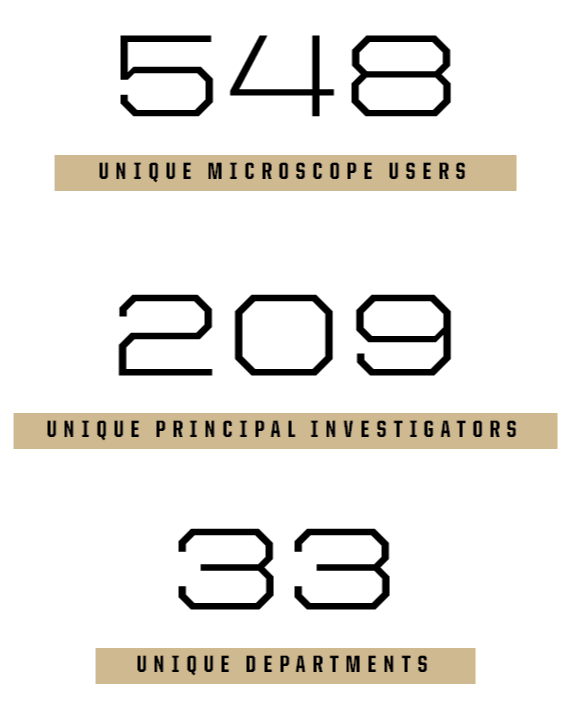 User Stats - 12 month April '24-'25